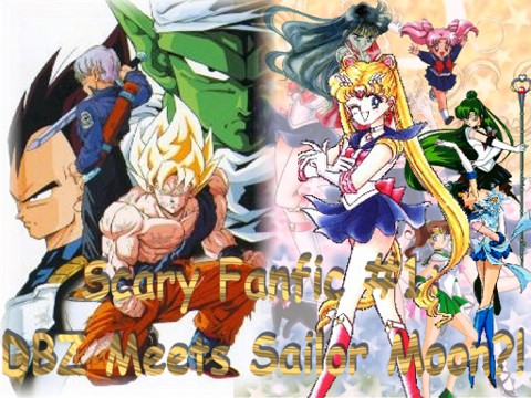 Scary Fanfic #1:  DBZ Meets Sailor Moon?!